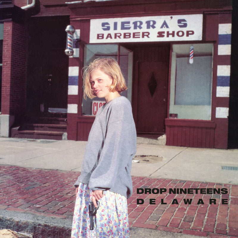 Drop Nineteens - Delaware (LP) - Velvet Music