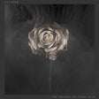 Editors - Weight of your love (CD) - Velvet Music