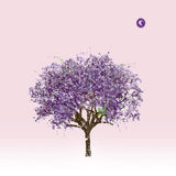 Eels - Demain matin (CD)