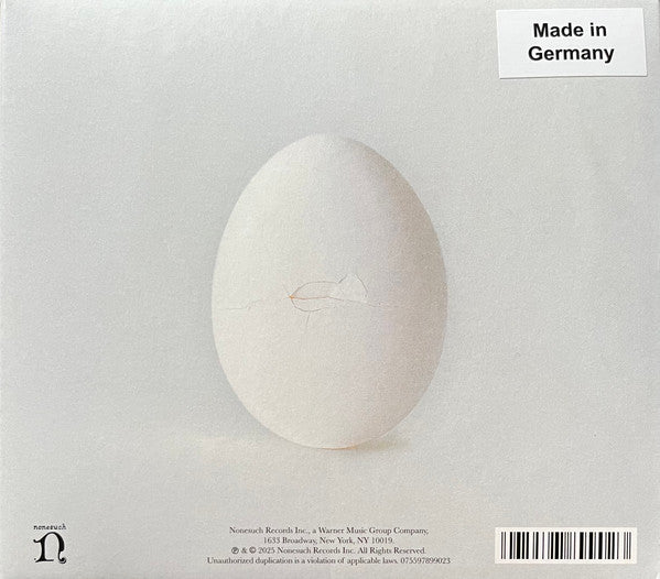 Wilco - A Ghost Is Born (CD) - Velvet Music