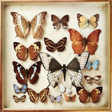 Emiliana Torrini - Rarities (CD) - Velvet Music