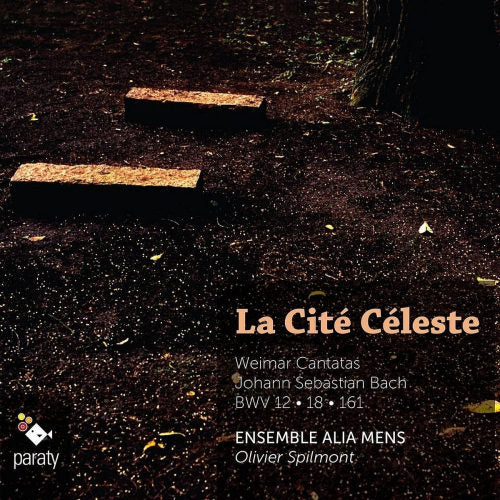Ensemble Alia Mens & Spilmont - Heavenly city (CD) - Velvet Music