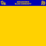 Equal Idiots - Adolescence blues community (LP) - Velvet Music