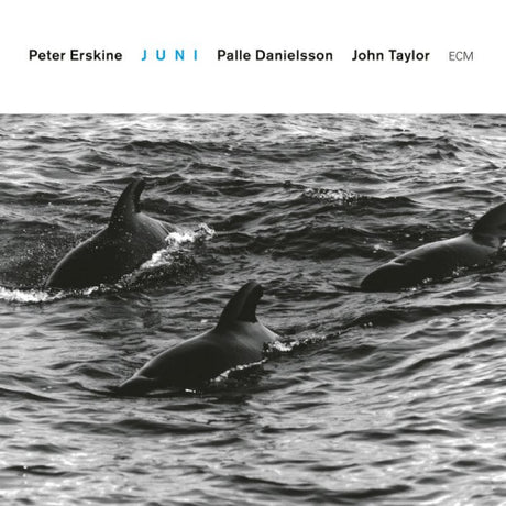 Peter Erskine -trio- - Juni (CD) - Velvet Music