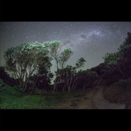 Esben And The Witch - Older terrors (LP)