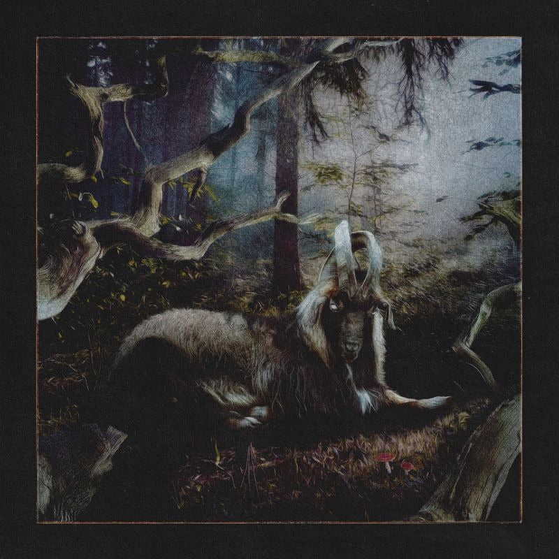 Earl Sweatshirt - Feet of clay (LP) - Velvet Music