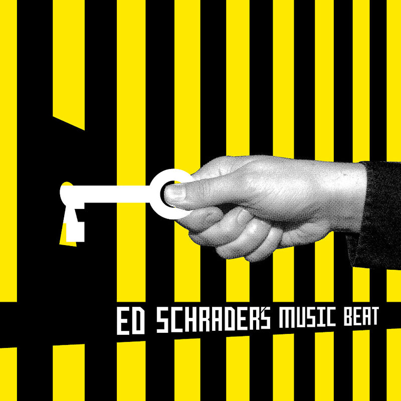 Ed Schrader's Music Beat - Party jail (LP)