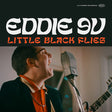 Eddie 9V - Little black flies (CD) - Velvet Music