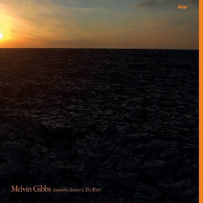 Melvin Gibbs - Anamibia sessions 1: the wave (LP) - Velvet Music