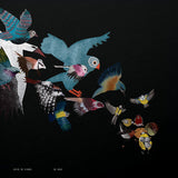 Eefje De Visser - The cake (LP)