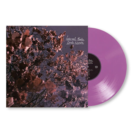 Eerie Wanda - Internal radio (LP) - Velvet Music