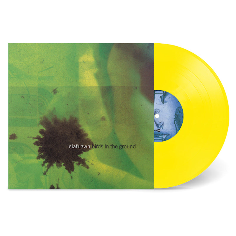 Eiafuawn - Birds in the ground (LP)