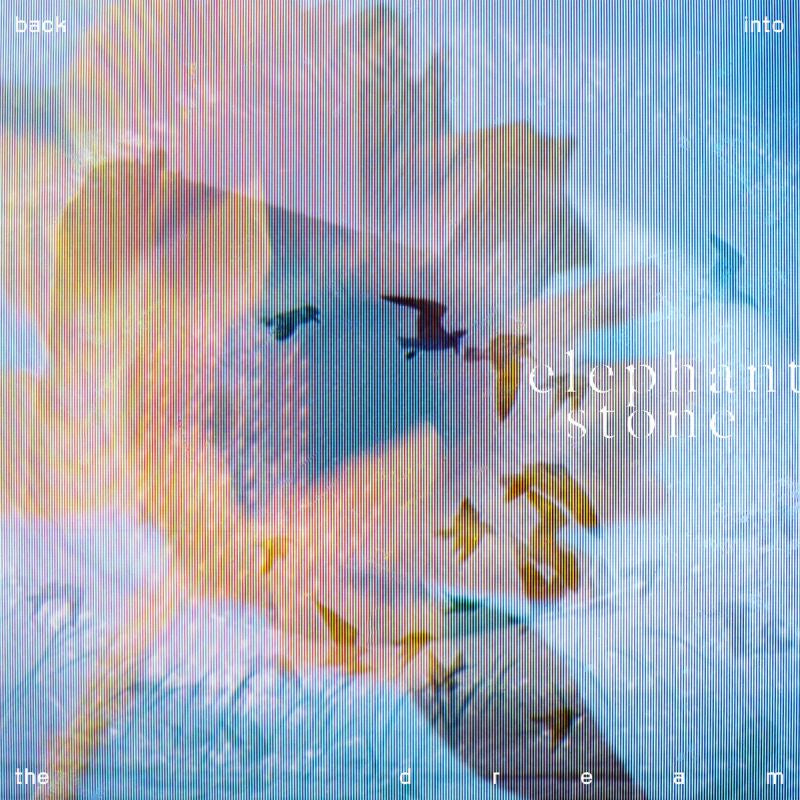 Elephant Stone - Back into the dream (LP) - Velvet Music
