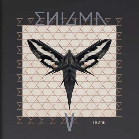 Enigma - Voyageur (LP) - Velvet Music