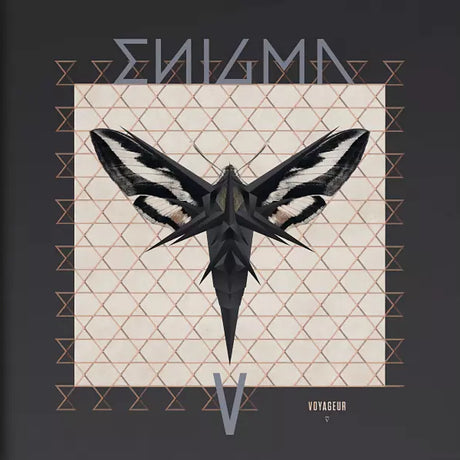 Enigma - Voyageur (LP) - Velvet Music