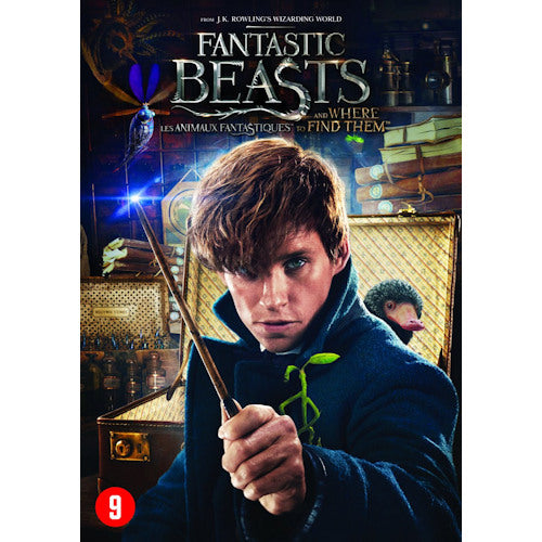 Film - Les animaux fantastiques (Film sur DVD)