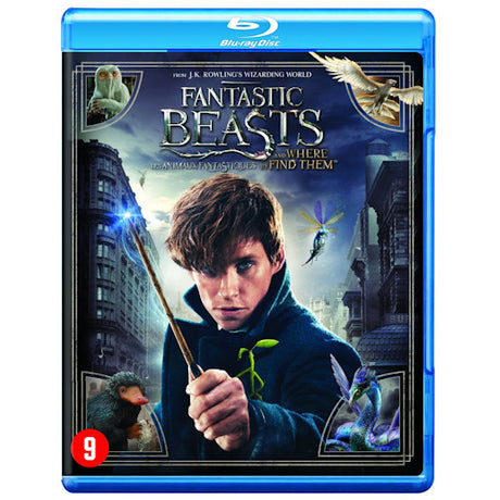 Film - Les animaux fantastiques (film blu-ray)