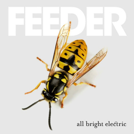 Feeder - All bright electric (CD) - Velvet Music