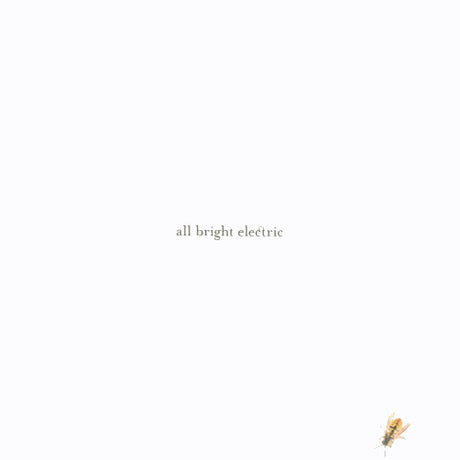 Feeder - All bright electric (LP) - Velvet Music