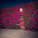 Feist - Pleasure (CD) - Velvet Music