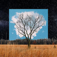 Fink - Bloom innocent (CD) - Velvet Music