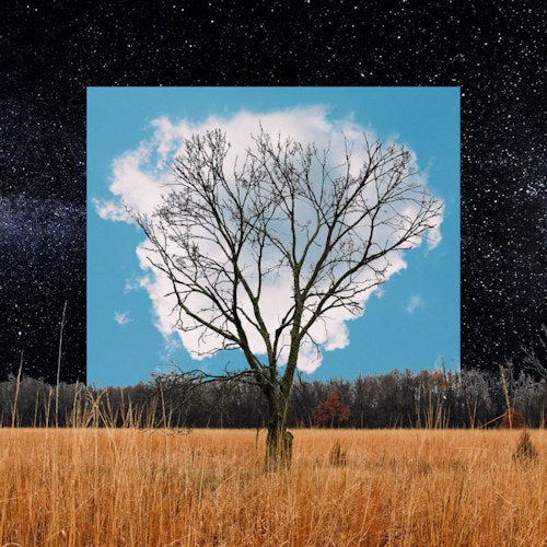 Fink - Bloom innocent (CD) - Velvet Music