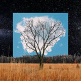 Fink - Bloom innocent (LP) - Velvet Music