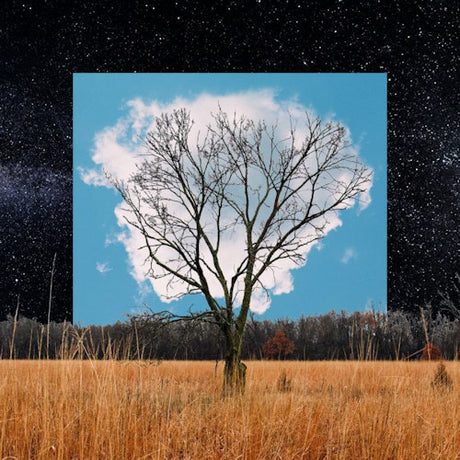 Fink - Bloom innocent (LP) - Velvet Music