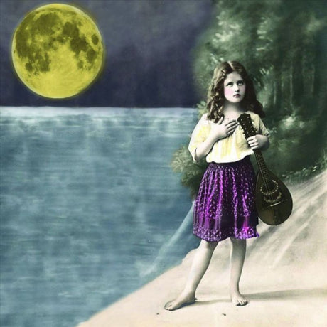 First Aid Kit - Big black and the blue (CD) - Velvet Music
