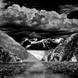 Fjort - Disassembly (LP)