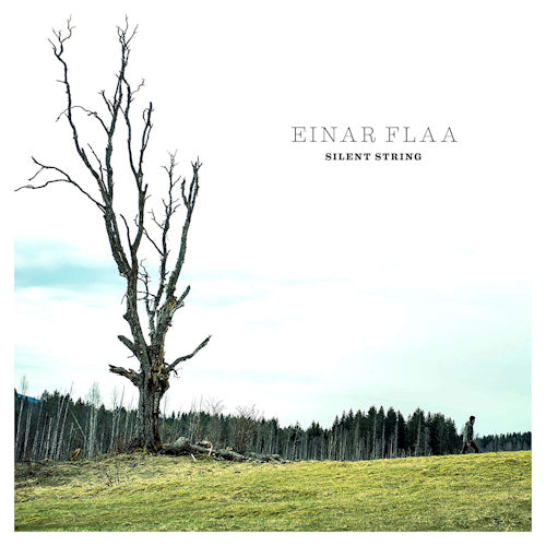 Einar Flaa - Silent string (LP) - Velvet Music
