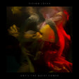 Flying Lotus - Until the quiet comes (LP) - Velvet Music
