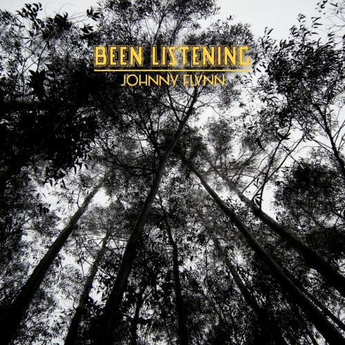 Johnny Flynn - Been listening (LP) - Velvet Music