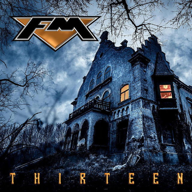 FM - Thirteen (LP) - Velvet Music