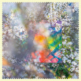 Four Tet - Sixteen oceans (CD) - Velvet Music