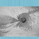 Four Tet - New energy (CD) - Velvet Music