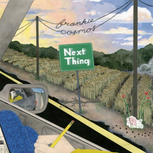 Frankie Cosmos - Next thing (LP)