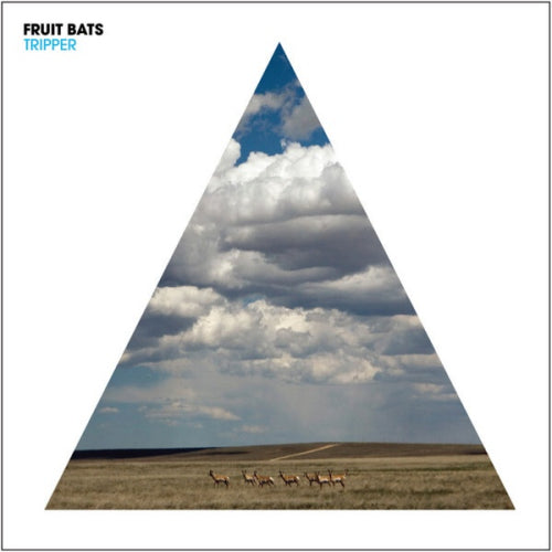 Fruit Bats - Tripper (LP) - Velvet Music