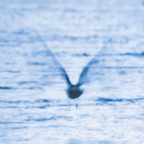 Ryo Fukui - Mellow dream (CD) - Velvet Music