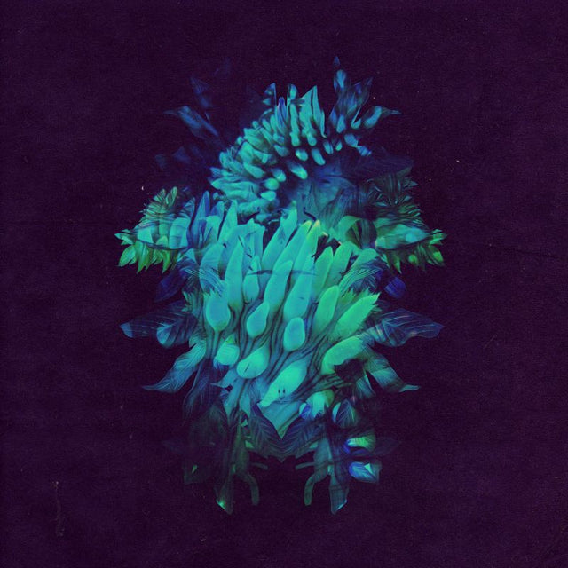 Fakear - All glows (CD) - Velvet Music