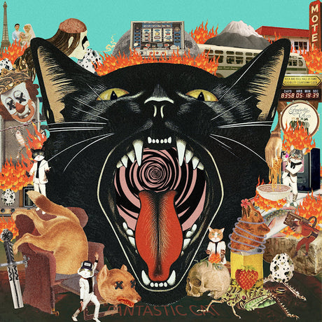 Fantastic Cat - Cat out of hell (CD) - Velvet Music
