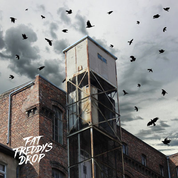 Fat Freddy's Drop - Blackbird returns (LP) - Velvet Music