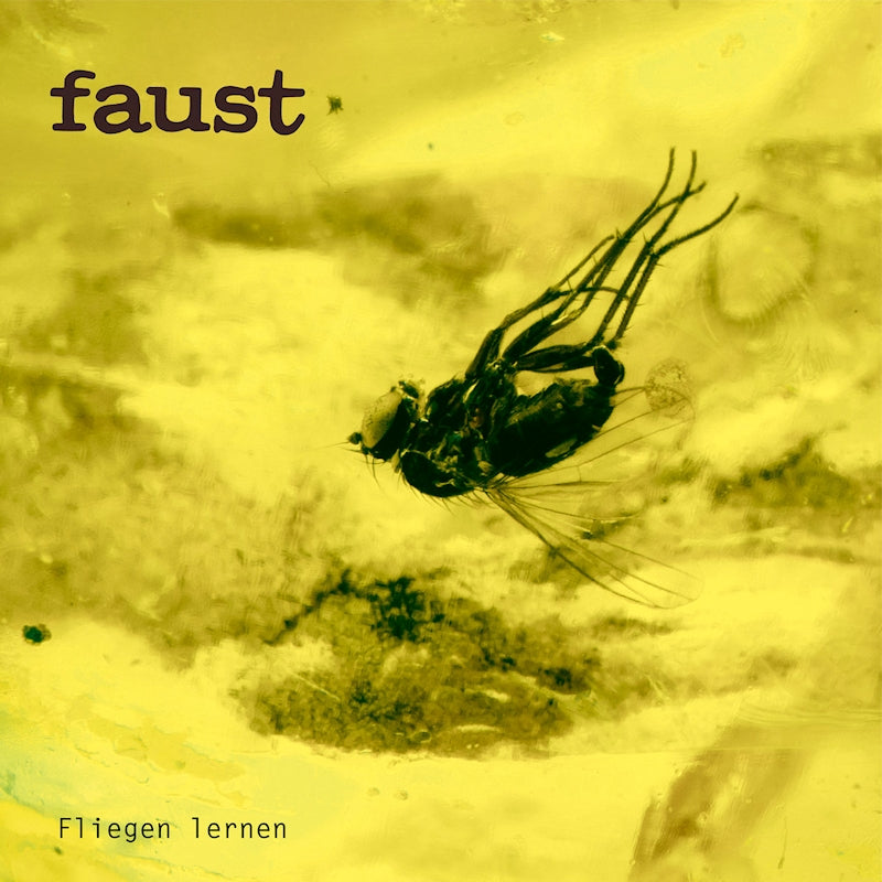 Faust - Fliegen lernen (black) (LP)