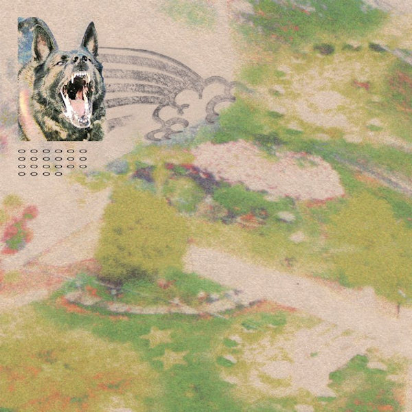 Feeble Little Horse - Girl with fish (CD) - Velvet Music