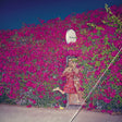 Feist - Pleasure (CD) - Velvet Music