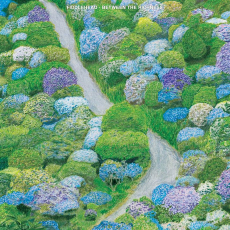Fiddlehead - Between the richness (LP) - Velvet Music
