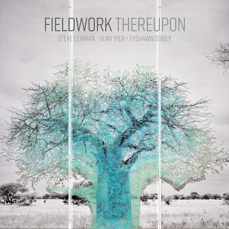Fieldwork Feat. Vijay Iyer &amp; Steve - Thereupon (CD)
