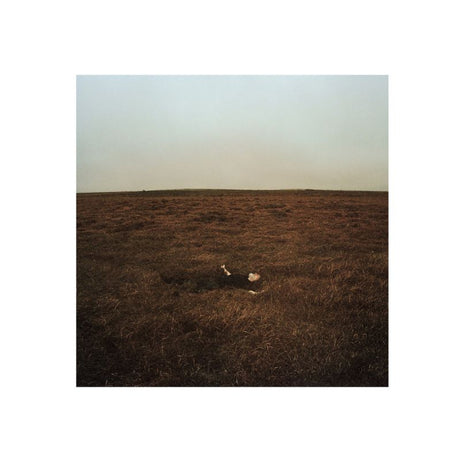 Fink - The city coming to erase it all (LP) - Velvet Music