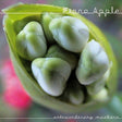 Fiona Apple - Extraordinary machine (CD) - Velvet Music