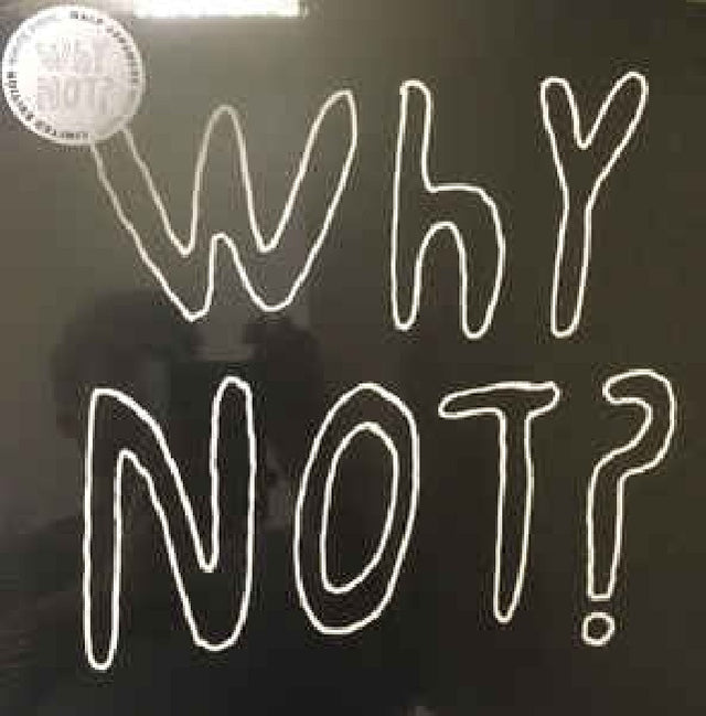 Half Japanese - Why not? (LP) - Velvet Music